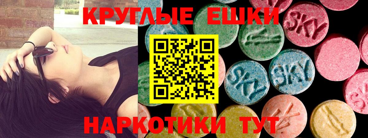 ЭКСТАЗИ TESLA  Вход с VPN  Экстази Philipp Plein  Гай 