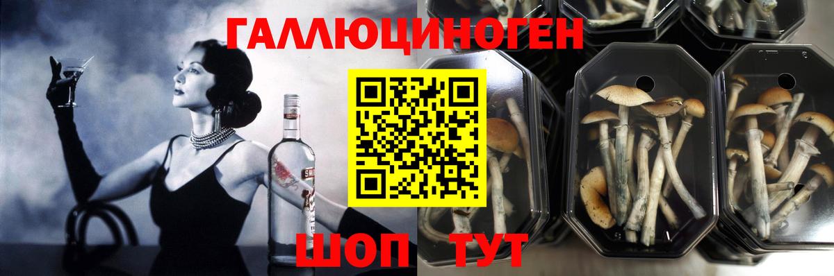 Галлюциногенные грибы MAGIC MUSHROOMS Гай